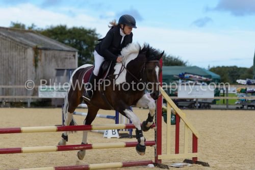 HOYS26-167