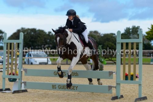 HOYS26-169