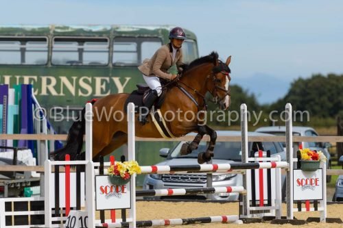 HOYS26-173