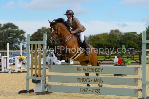 HOYS26-174