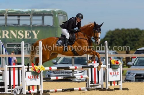 HOYS26-176
