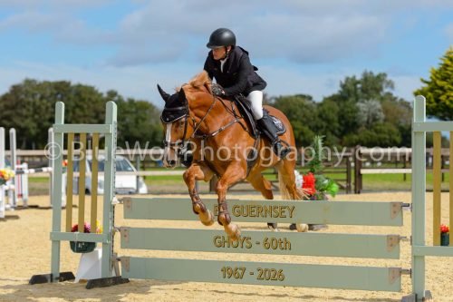 HOYS26-177