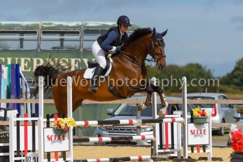 HOYS26-178