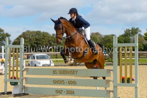 HOYS26-179