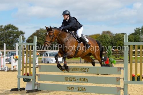 HOYS26-181