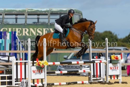 HOYS26-184