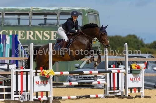 HOYS26-186