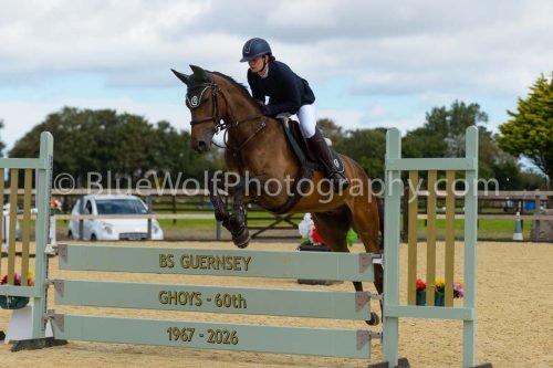 HOYS26-191
