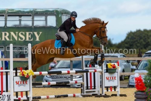 HOYS26-193