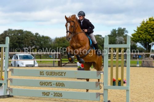 HOYS26-194
