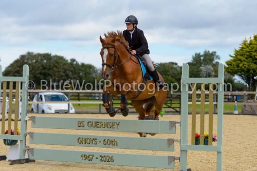 HOYS26-195