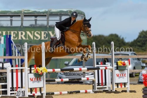HOYS26-196