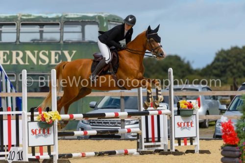 HOYS26-197