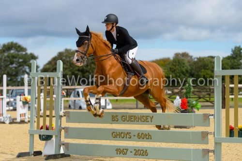 HOYS26-198