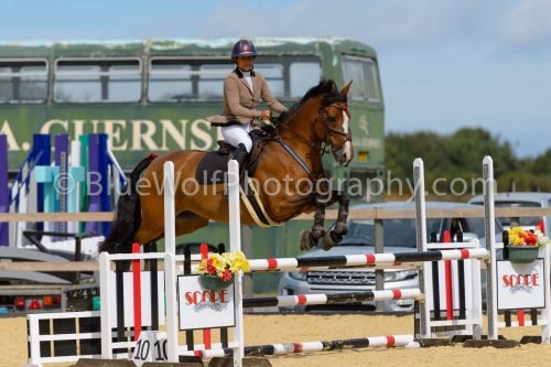 HOYS26-201