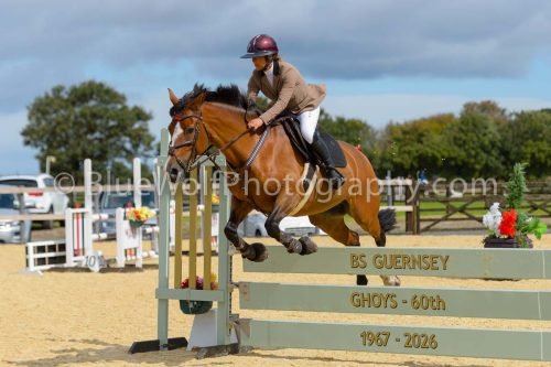 HOYS26-203