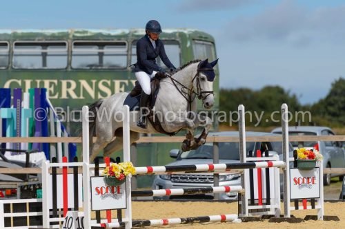 HOYS26-204