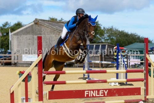 HOYS26-207