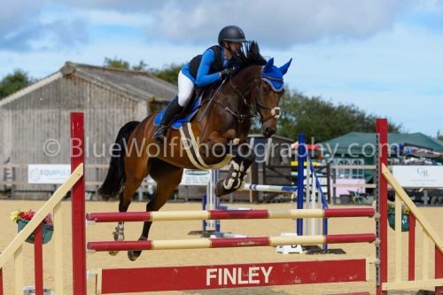 HOYS26-208