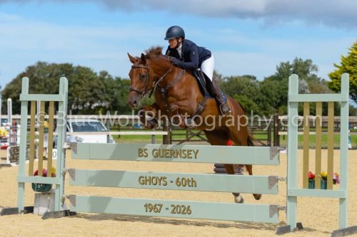 HOYS26-211