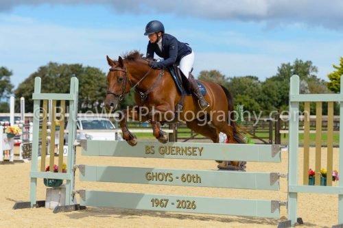 HOYS26-212