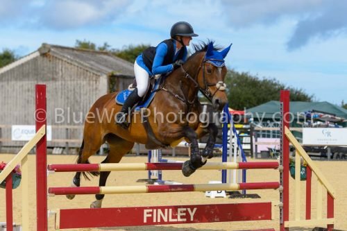HOYS26-213