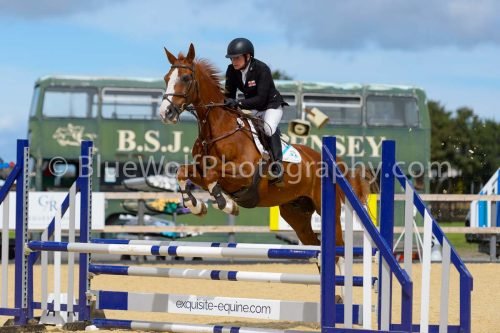 HOYS26-216