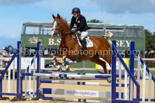 HOYS26-217
