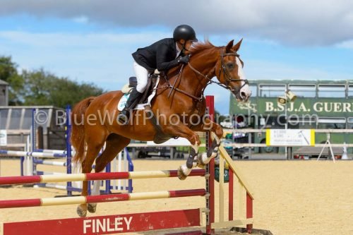 HOYS26-218
