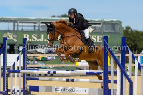 HOYS26-219