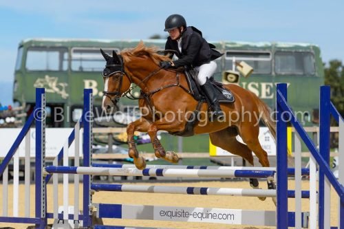 HOYS26-220