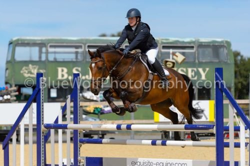 HOYS26-223