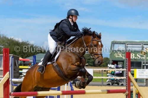 HOYS26-224