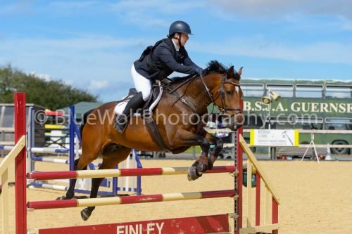 HOYS26-225