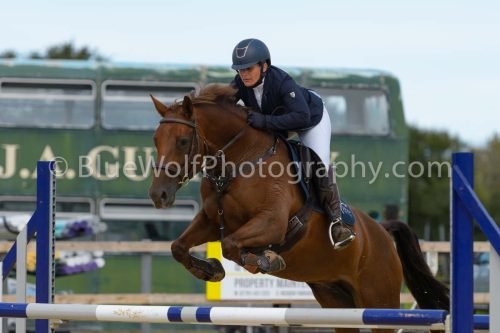 HOYS26-226