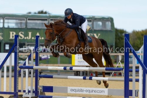 HOYS26-227