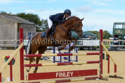 HOYS26-228