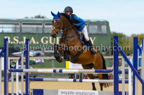 HOYS26-229
