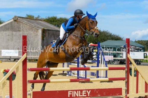 HOYS26-230