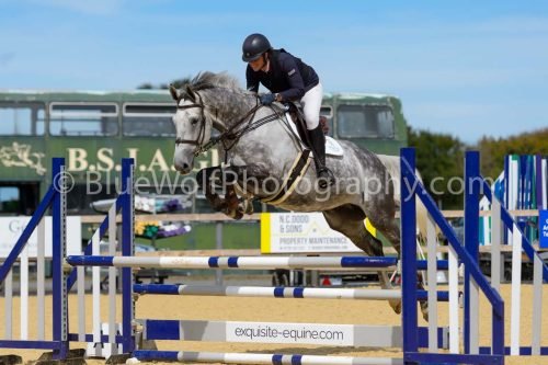 HOYS26-231