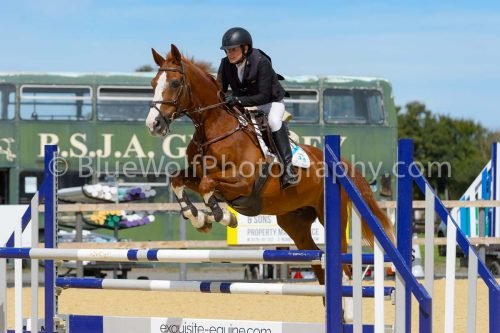 HOYS26-232