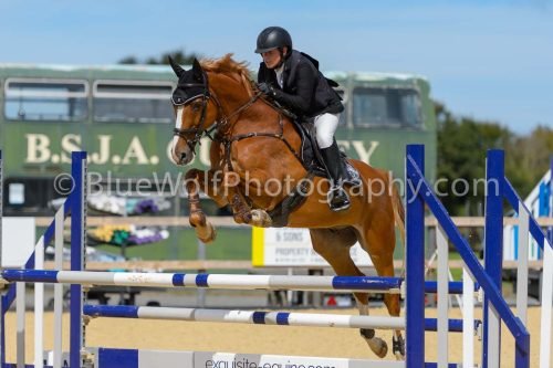 HOYS26-233