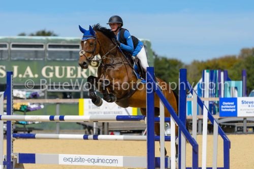 HOYS26-236
