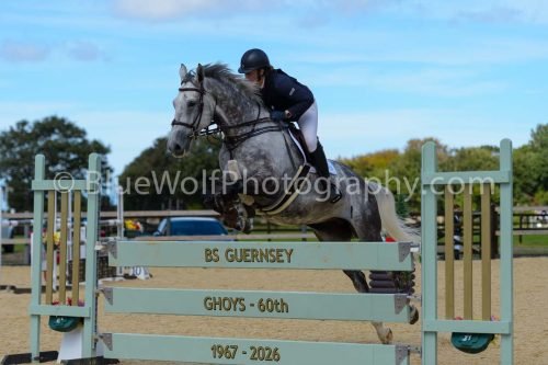 HOYS26-241