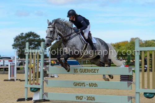 HOYS26-242