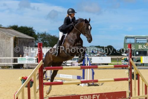 HOYS26-243