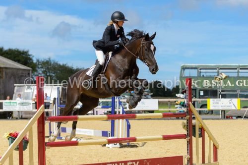 HOYS26-244