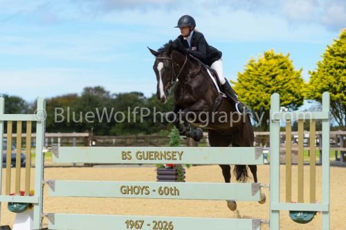 HOYS26-245