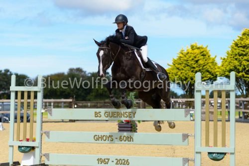 HOYS26-246