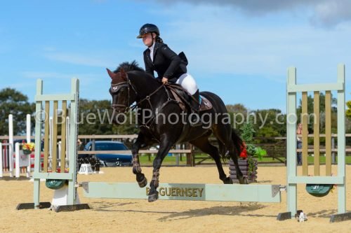 HOYS26-250